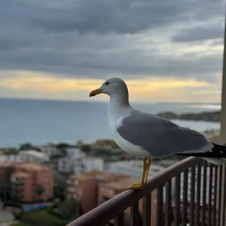 Sofiamarholidays - Casa Mar 아파트 포티마오