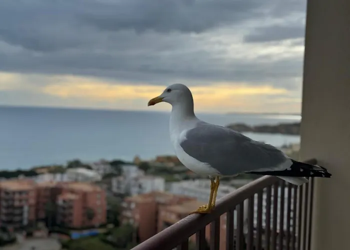 Sofiamarholidays - Casa Mar 아파트 포티마오